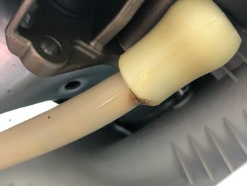 Sunroof Drain Tube Leak