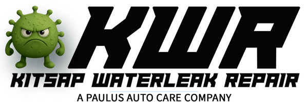 Kitsap Waterleak Repair