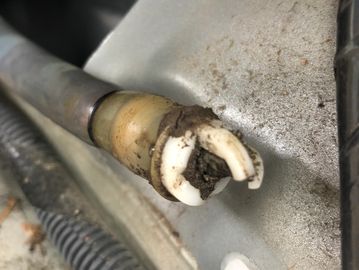 Plugged sunroof drain tube. 