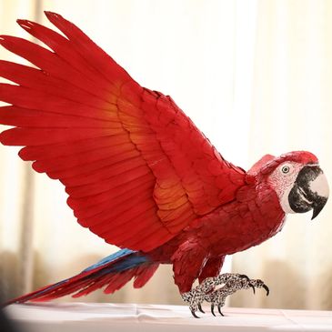 Arara vermelha realista