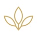 Wellness Care WA
