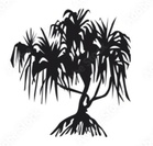 Pandanus Properties