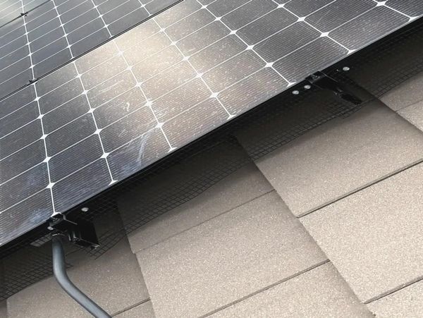 solar critter guards denver