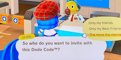 So this was my Dodo Code : AnimalCrossing