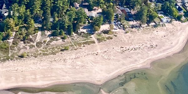 Aerial view of a sandy beach with adjacent forest and houses.