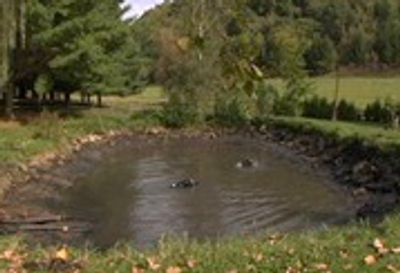 Pond Cleaning by specialized workers.