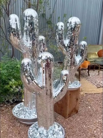 group of disco cactus for events