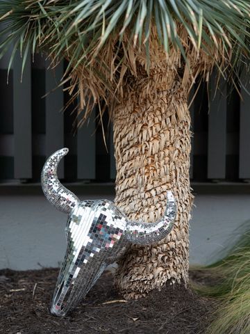 disco skull for disco cowboy party