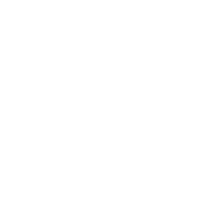 Vending Armadillo