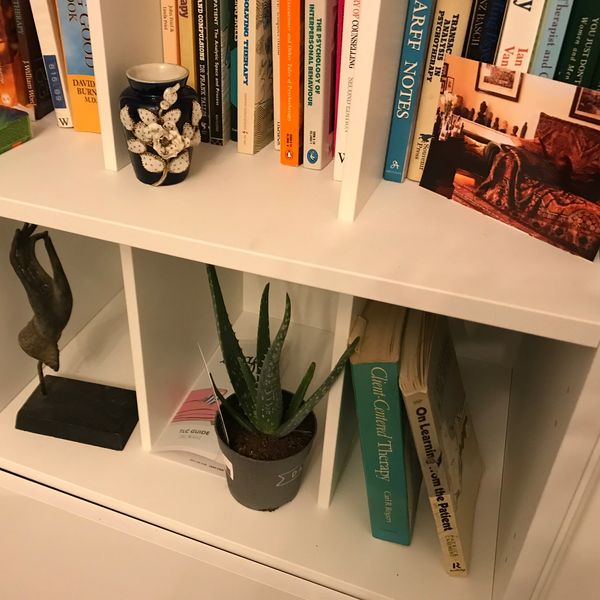 Bookcase in actual counselling room