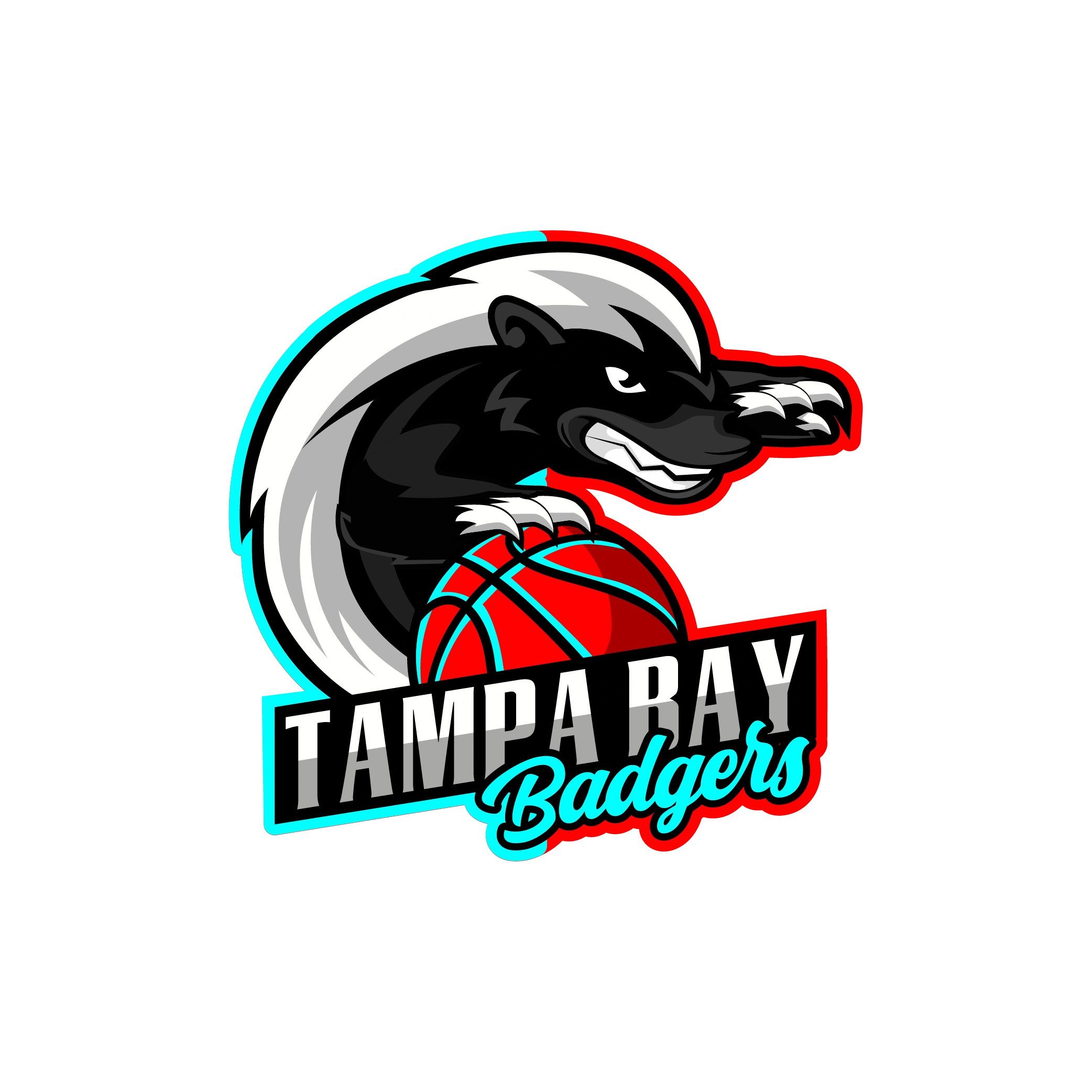 Pro Basketball In Tampa