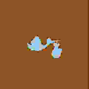 image404