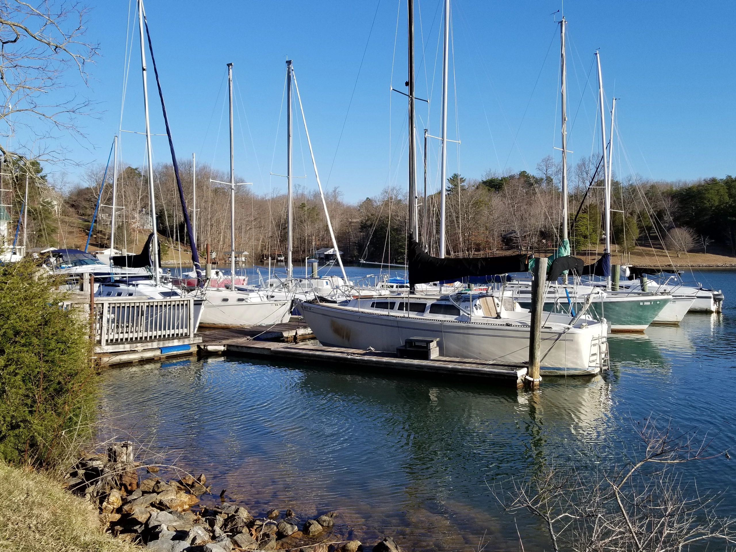 Lake Haven Marina photo