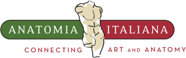 Anatomia Italiana