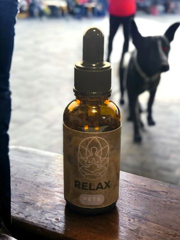 CBD para Perros