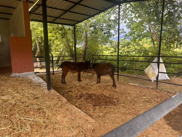Lycia Farm