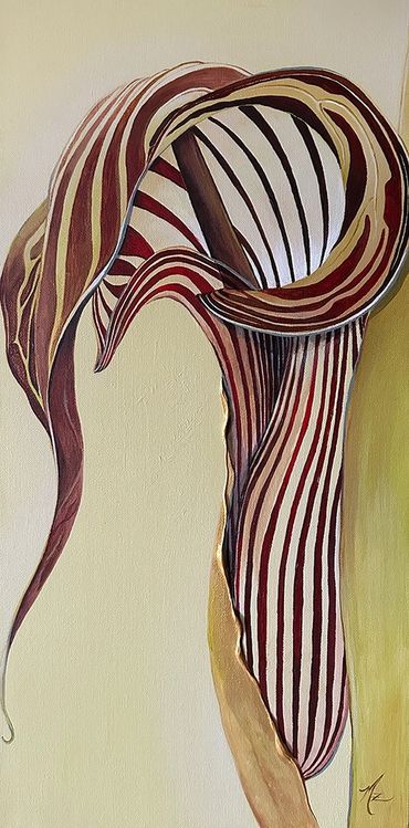 Modern Botanical Art, Jack-in-the-pulpit