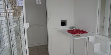 Clean white cleaning supply room with wire mesh door.