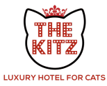 The Kitz Luxury Cat Hotel, Evesham