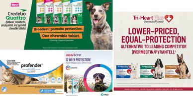 Pet parasite protection products for dogs and cats, highlighting broad coverage and competitive pricing.