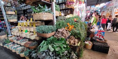Vibrant market stall with fresh herbs and vegetables.