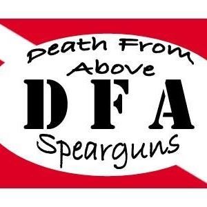 dfaspearguns.com