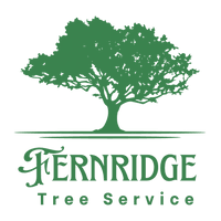fern ridge tree service
