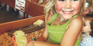 Smiling child holding a fluffy chick gently in a petting area.