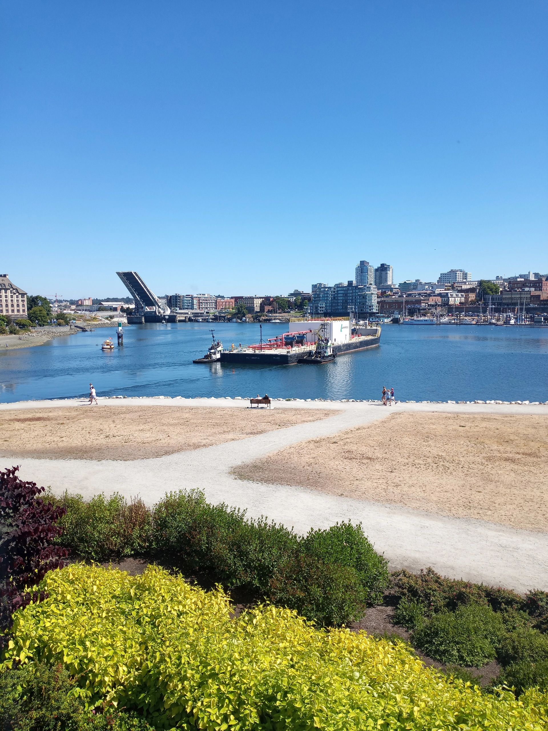 The bridge is open. Taken from the hotel window in victoria BC