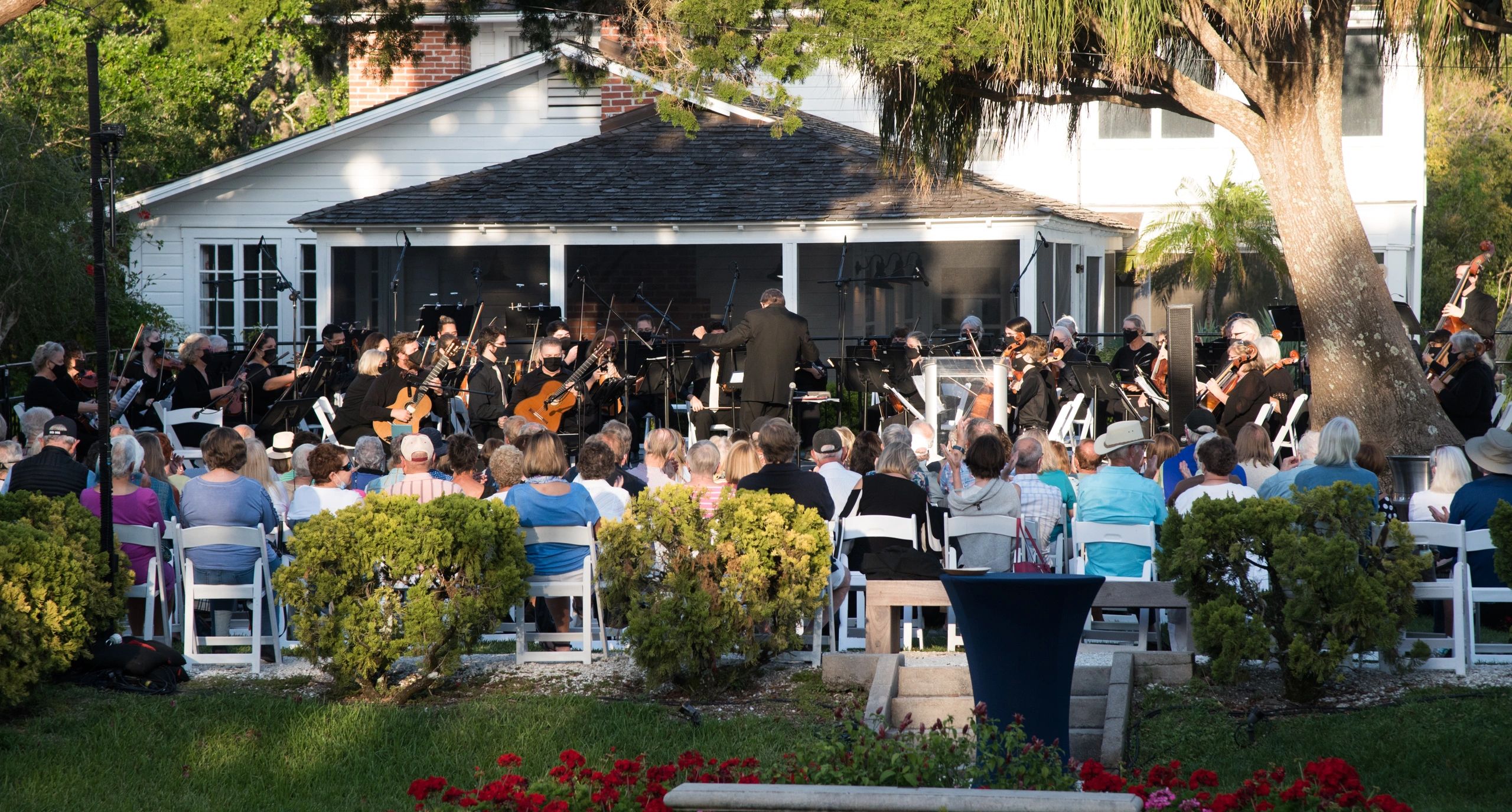 Strings Con Brio Strings Con Brio