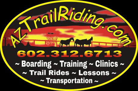 horses for sale or lease, riding lessons and coaching, horse boarding, training, transportation, fla