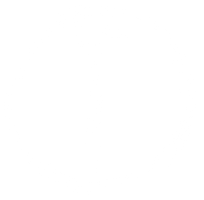 moss pdx 
photography