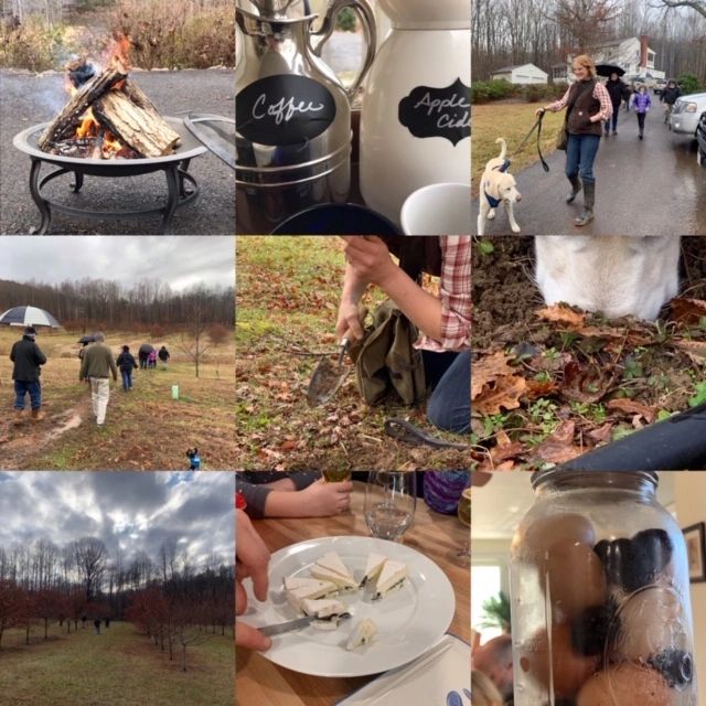 Virginia Truffles Truffles, Cultivation Services