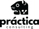 Practica Consulting