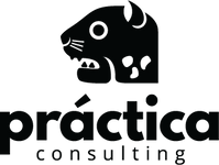 Practica Consulting