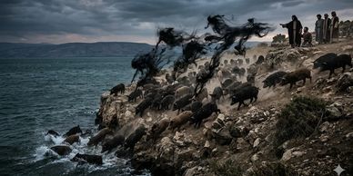 Jesus casting Legion into the pigs