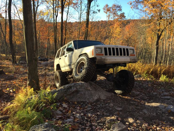 ECOJOCS trail run