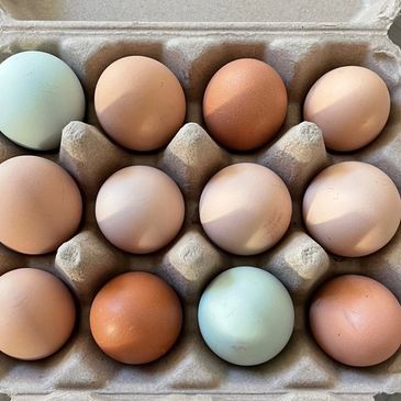 A carton of eggs in various shades including brown, cream, and pale blue.