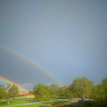 Double rainbow over a green countryside with trees and a white fence.