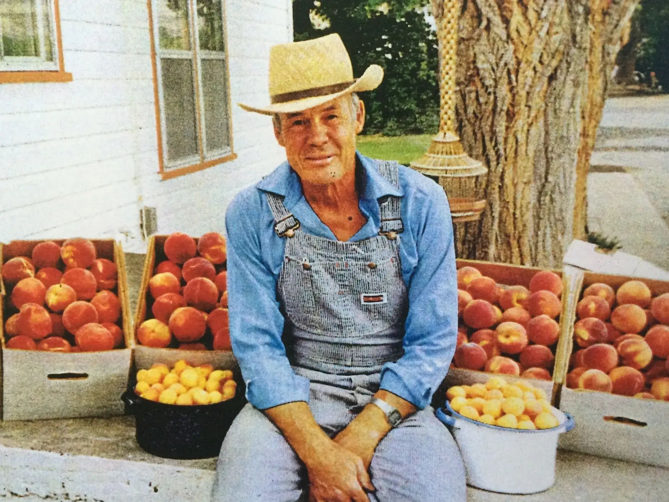 a man wearing a hat seating near the fruit trays 