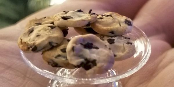 Tiny chocolate chip cookies on a small glass plate held in a hand.