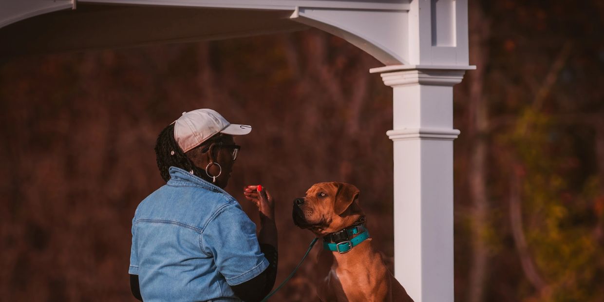 Person training a dog outside near a white post.