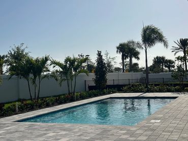 Outdoor swimming pool with palm trees under clear sky.
