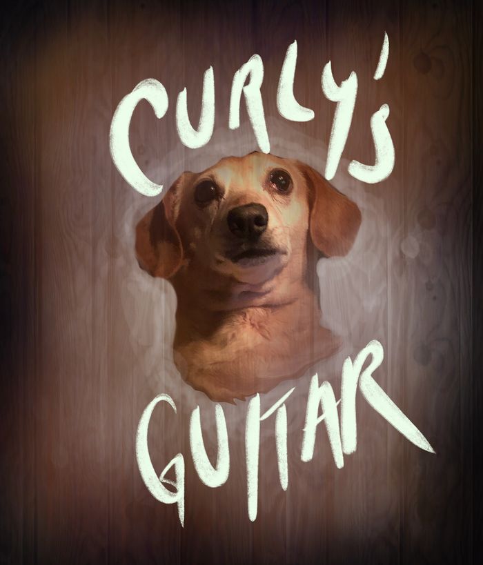 Guitar and Stringed Instrument Repair Boise, Idaho