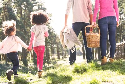 Two young children, about 4 and 7, walking in a park with their parents, preparing for a picnic. 