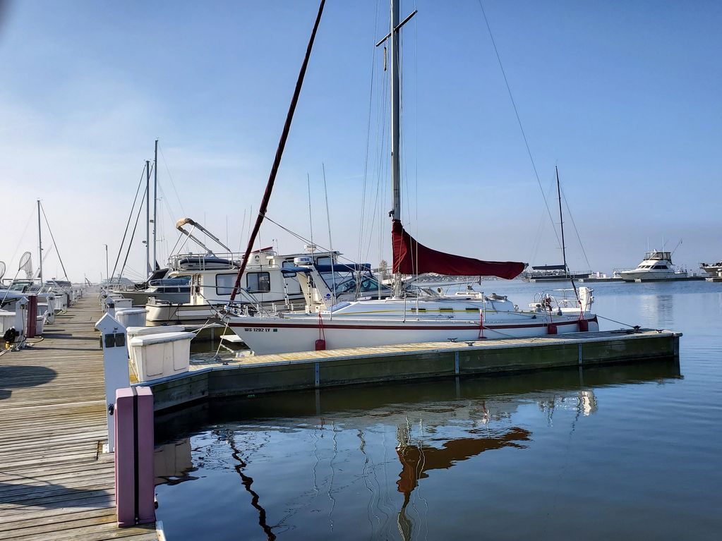 Sailboats docked at a calm marina on a clear day.