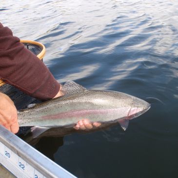 Fishing - Maricle Flyfishing Ventures