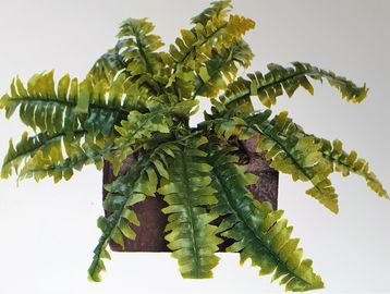 11" Real-Touch Boston Fern