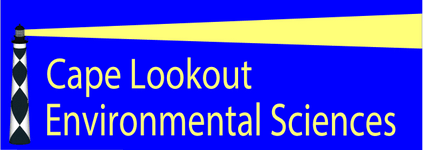 Cape Lookout Environmental Sciences
