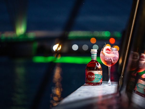 newcastle boat booze cruise